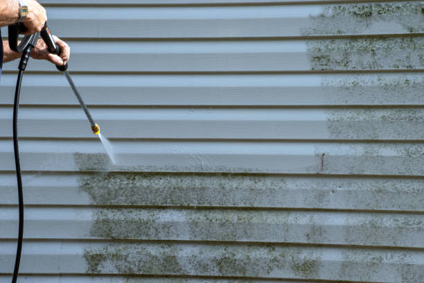 Best Construction Debris Removal  in El Jebel, CO